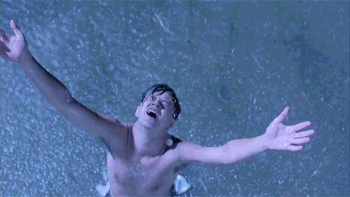 Andy Dufresne was not an innocent man falsely incarcerated at Shawshank who was beholden to an evil warden, but was in fact a cold-hearted murderer who definitely killed his wife. He was a manipulative sociopath, who played his "best friend" Red and many other like pieces on a chessboard to secure his freedom and escape justice.