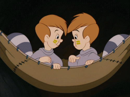The Twins
