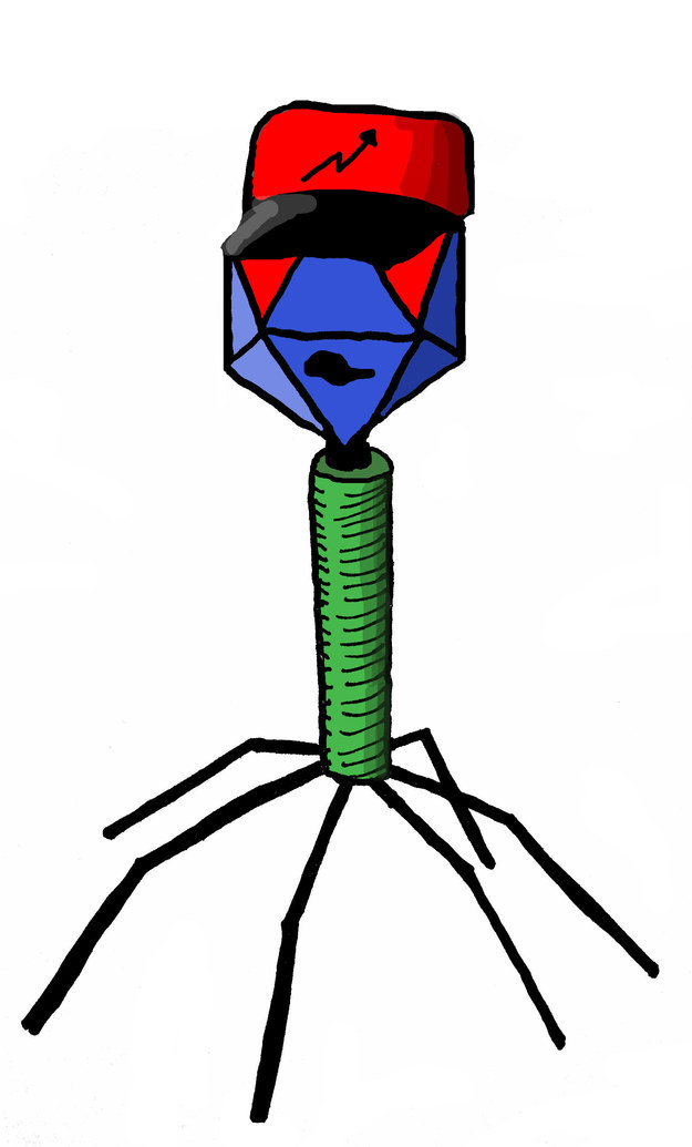 You are mega-viral!
