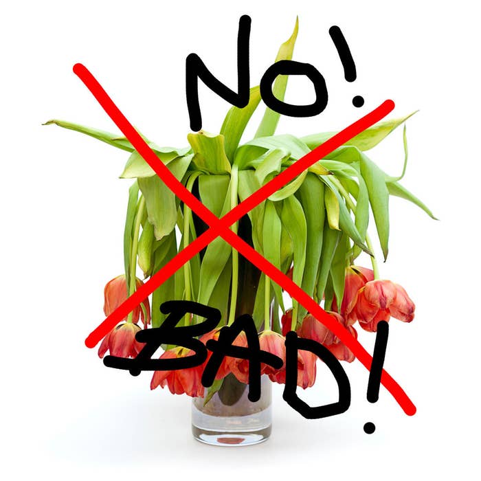 19 Foolproof Ways To Nail A First Date