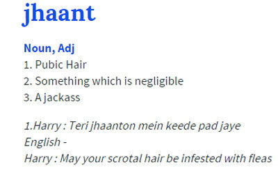 Here's What These 18 Hindi Gaalis Mean According To Urban Dictionary