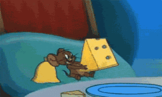 You don't like cheese