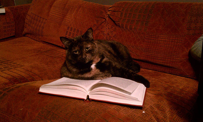 Reading is sexy.
