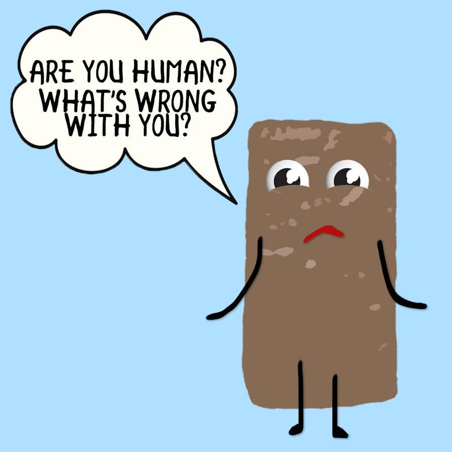 13 Things Tim Tams Are Tired Of Hearing