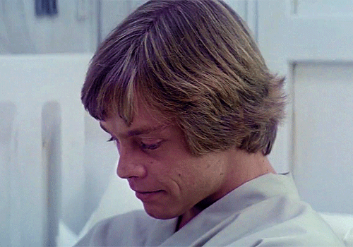 Honestly, Luke is mostly on the list because he goes from a whiny little thing in Episode IV to a goddamn man in Episode VI. Gotta love a good character arc!