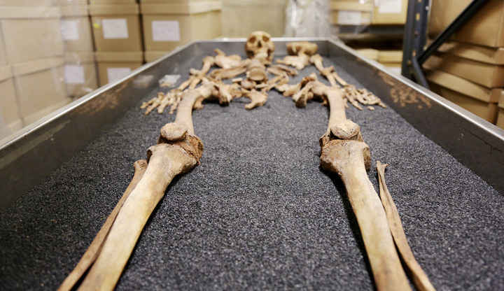 Inside London's Bone Archive