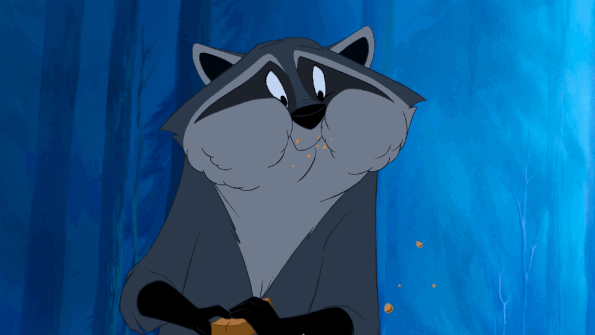 Meeko the Raccoon from "Pocahontas"