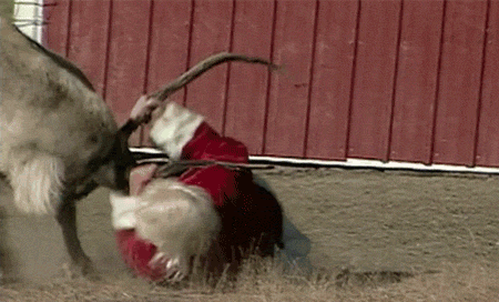 Get run over by a reindeer