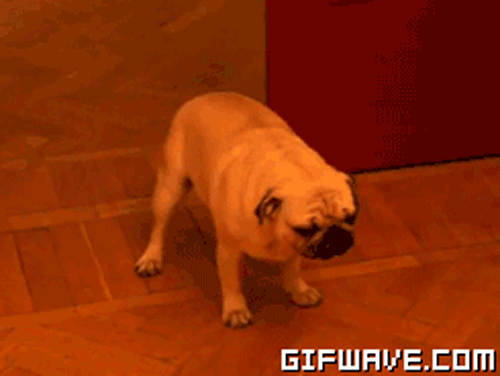 Feel better, bud.