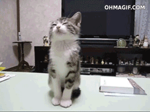 NEED MORE CAFFEINE.