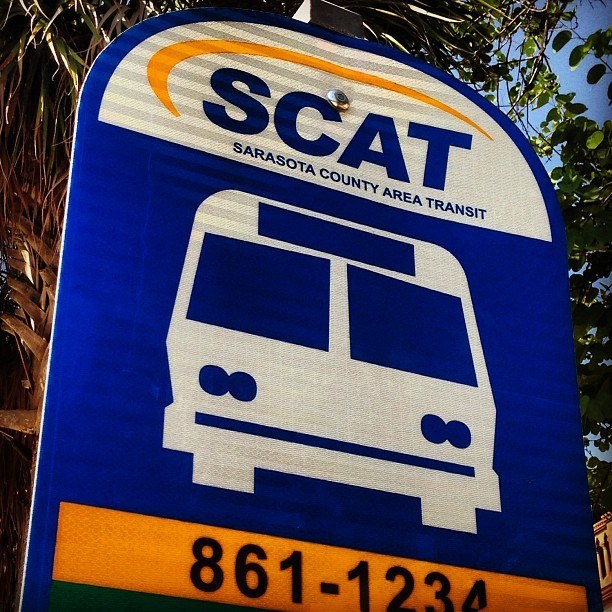 scat bus 15