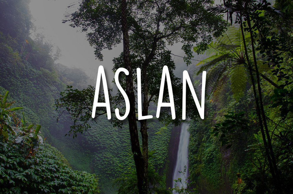 Aslan/buzzfeed.com