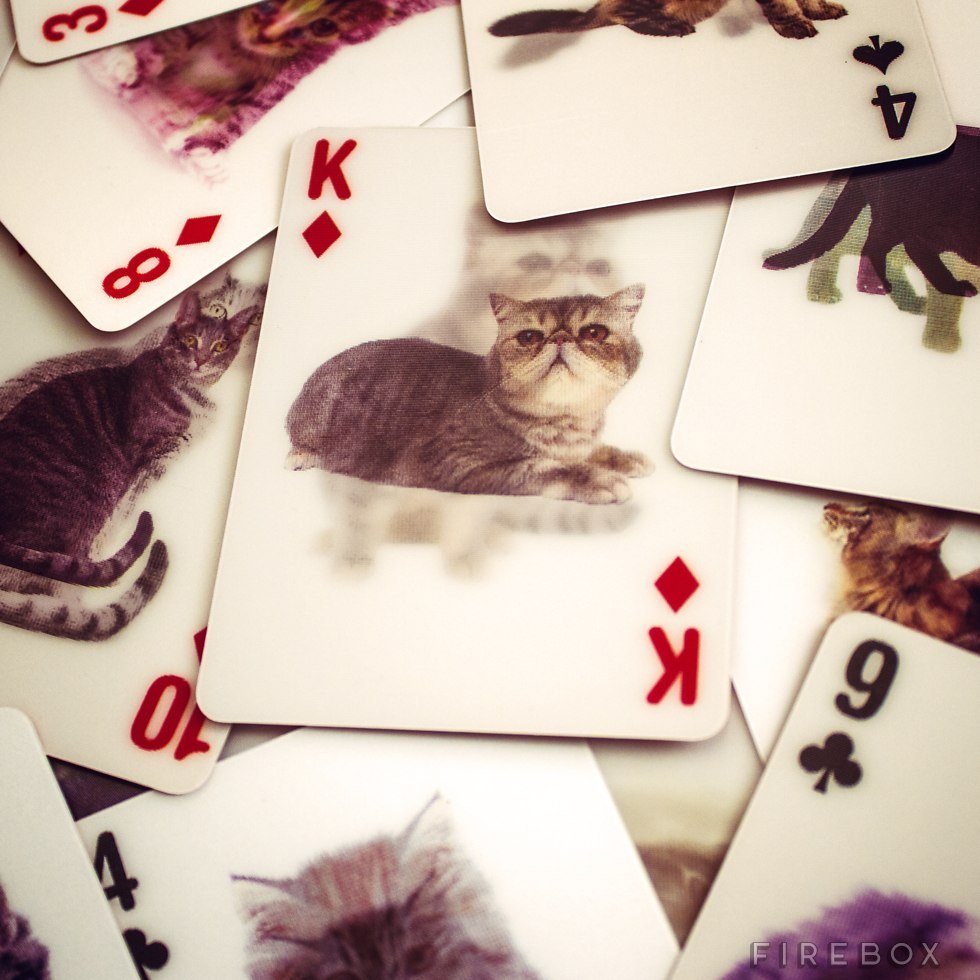 3D Cat Playing Cards$19.79