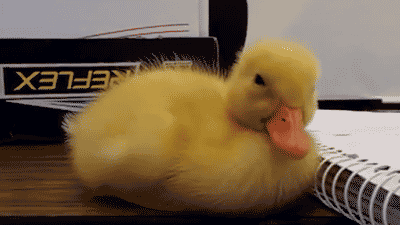 Nap away! Naps between six and 30 minutes have been shown to improve memory in study subjects.