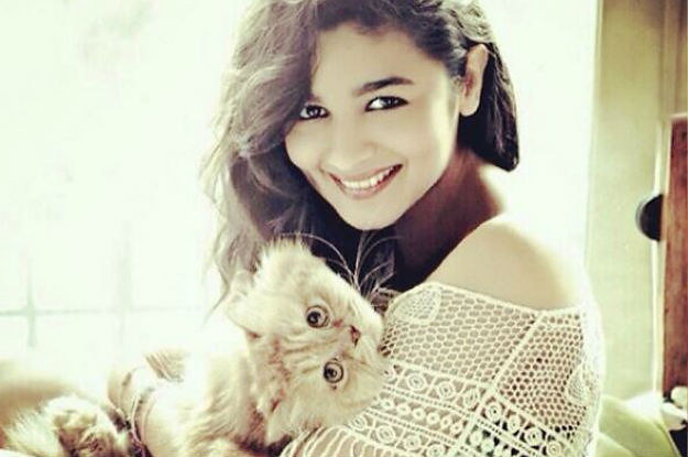 Its The Fucking Best To Be Alia Bhatts Cats