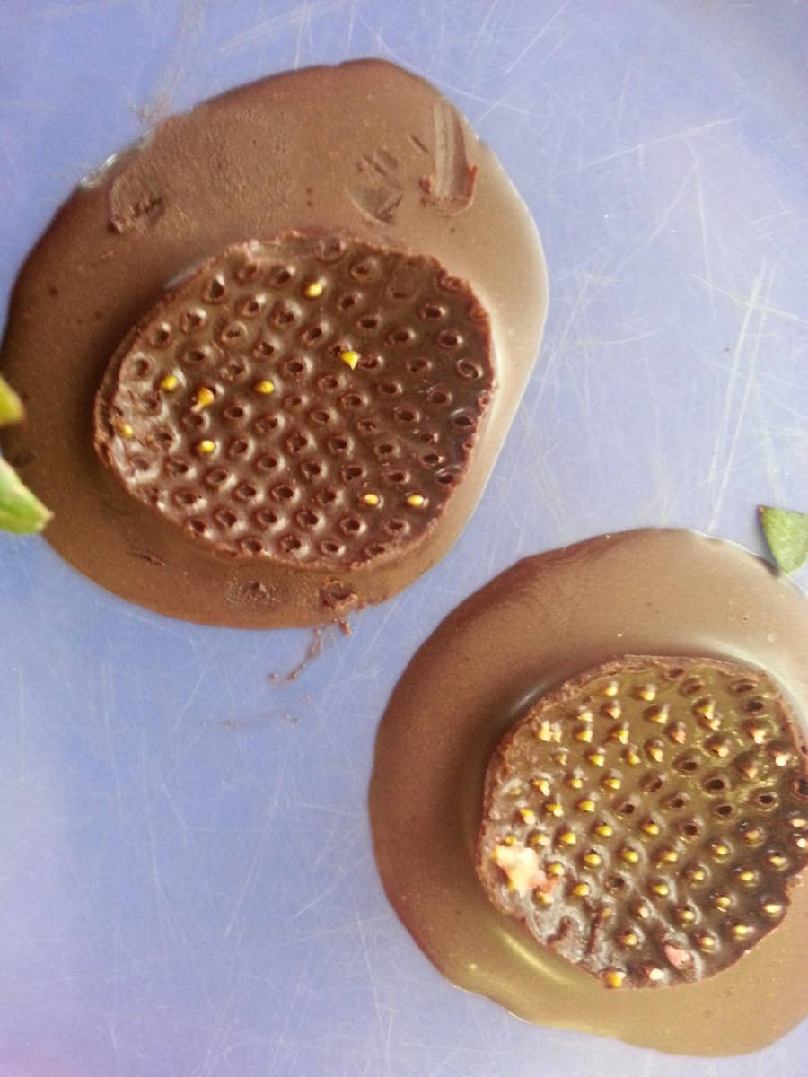 閲覧注意 ぜったいに最後まで見れないブツブツ画像