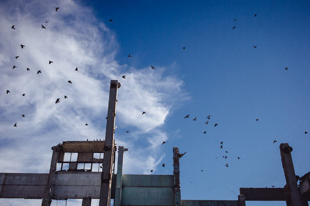 Radiation. Government conspiracy. Mass hysteria. There are plenty of theories as to why the residents of a tiny Kazakh mining region keep falling asleep for days at a time, but no answers.