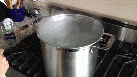 Llena una olla con agua. Hiérvela (y asegúrate que esté realmente HIRVIENDO). Añade un puñado de sal para que tu agua sea agradable y ~salada~. Agrega la pasta. Comprueba después de aproximadamente 8 minutos de cocción: prueba la pasta para asegurarte de que esté tan firme o blanda según sea tu gusto. No tienes que usar una olla gigante como esta, pero asegúrate de usar una que sea lo suficientemente grande para que la pasta se mueva en el agua. De lo contrario, podría pegarse a sí misma. Mira el vídeo completo aquí y aprende como medir las porciones perfectas de espagueti aquí .