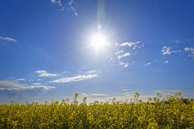 Sunny spell