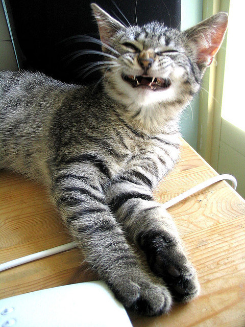 But we'll put on our best fake smiles and get on with it anyway.