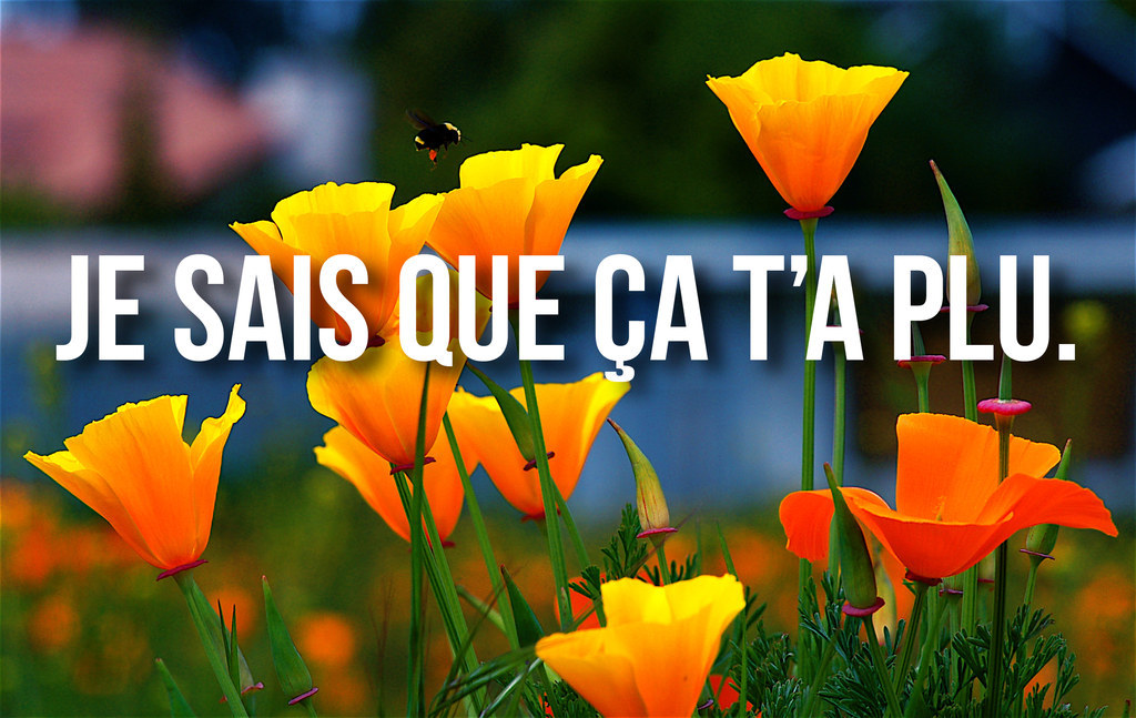 21 phrases beauf qu