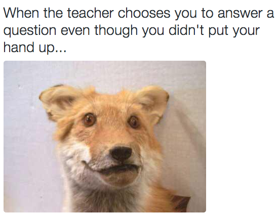 18 Times Crap Taxidermy Nailed What It's Like To Be Awkward