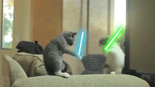 Even these cats love Star Wars. Alongside companies like Apple and Nike, there is no denying that the Star Wars franchise is one of the strongest, most recognizable brands in existence. Commitment to a brand is something that is earned over time.