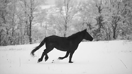 Sagittarius