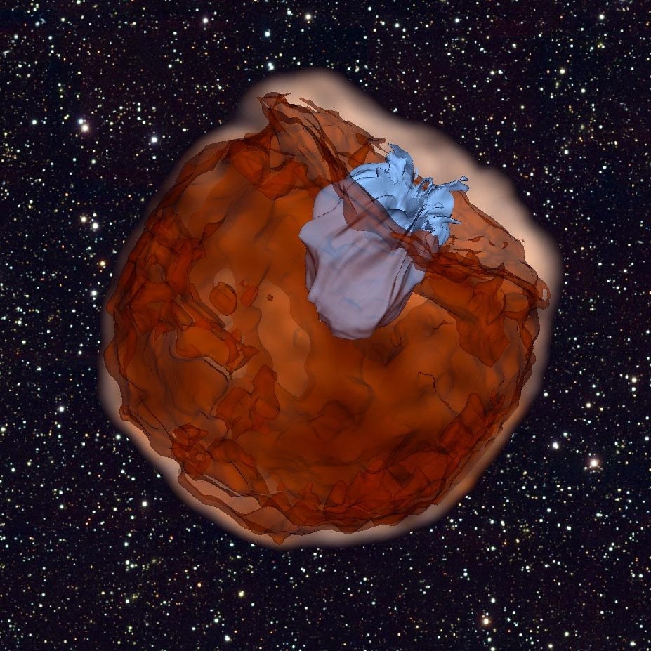 This computer simulation shows the debris of a Type Ia supernova (brown) slamming into its companion star (blue) at tens of millions of miles per hour.