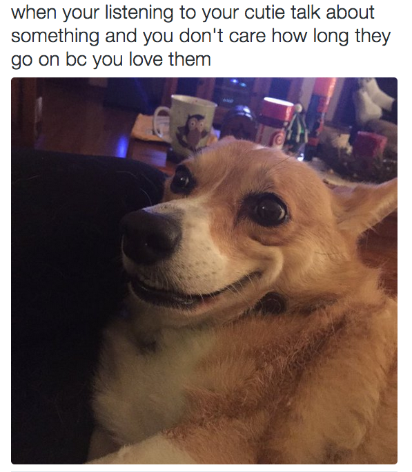 17 Times The Animal Kingdom Summed Up Being Single