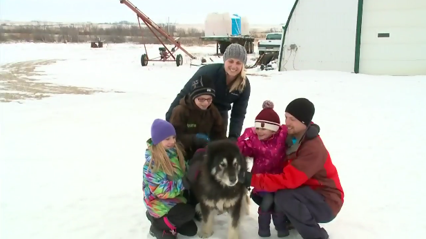 “I was so comatose so when Rex dragged me I knew something was wrong, and I wouldn't be alive without that dog," Lucas told CTV News.With Rex by her side, Lucas saved herself as well as other pets from the house. Sadly, the home burned down. But now the town of Vonda, Saskatchewan has given the family a rental property to stay in, and the community is offering them support.