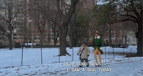 26 Hilarious Elf Quotes That Ll Make You Laugh Every Time 45 funny elf memes ranked in order of popularity and relevancy. 26 hilarious elf quotes that ll make