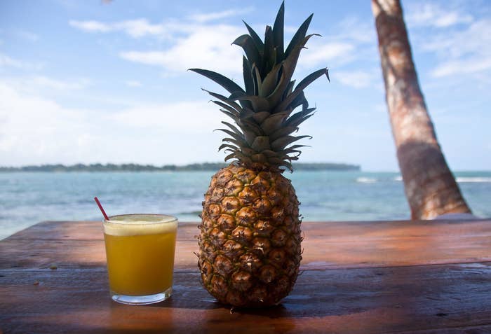 En effet, l'ananas tel que nous le connaissons est en fait l'assemblage d'une multitude de fruits formés par les nombreuses fleurs de sa plante. C'est ce qu'on appelle un fruit composé.