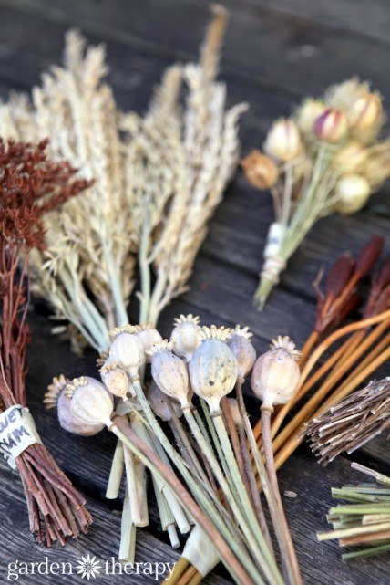 Learn how to craft with dried seeds and flowers.