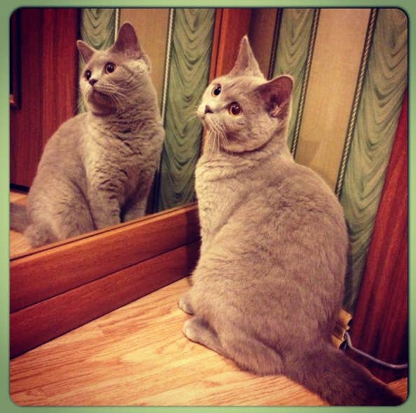 No one is ever thinking about you as much as you believe they are, because everyone is too busy worrying about themselves. Take care of you, and not the you that you feel you're perceived as.—Shannon LeBlanc, Facebook