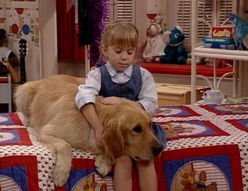 I know this one is a long shot, but I need to know if he is still kicking. This precious dog was there through so much. Bless him.