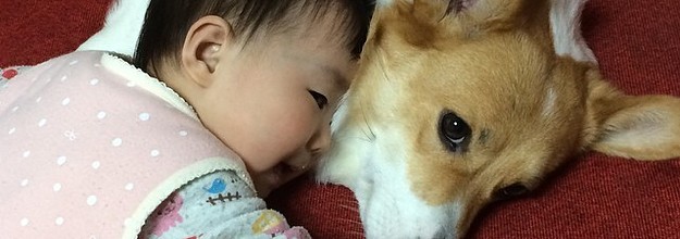 This Corgi And Baby Are Best Friends And It S Ridiculously Cute