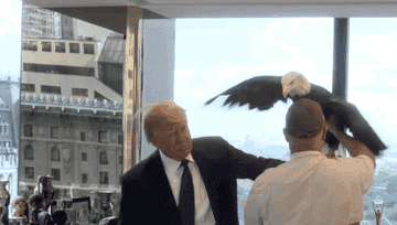 A Bald Eagle Attacked Donald Trump During A Photo Shoot