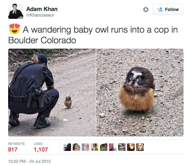 26 Of The Most Important Baby Animals Of 2015