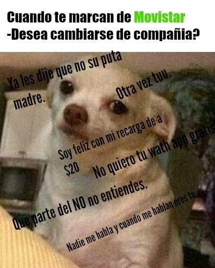 18 Veces En Las Que El Meme Del Perrito Reflejo Tu 2015 A La