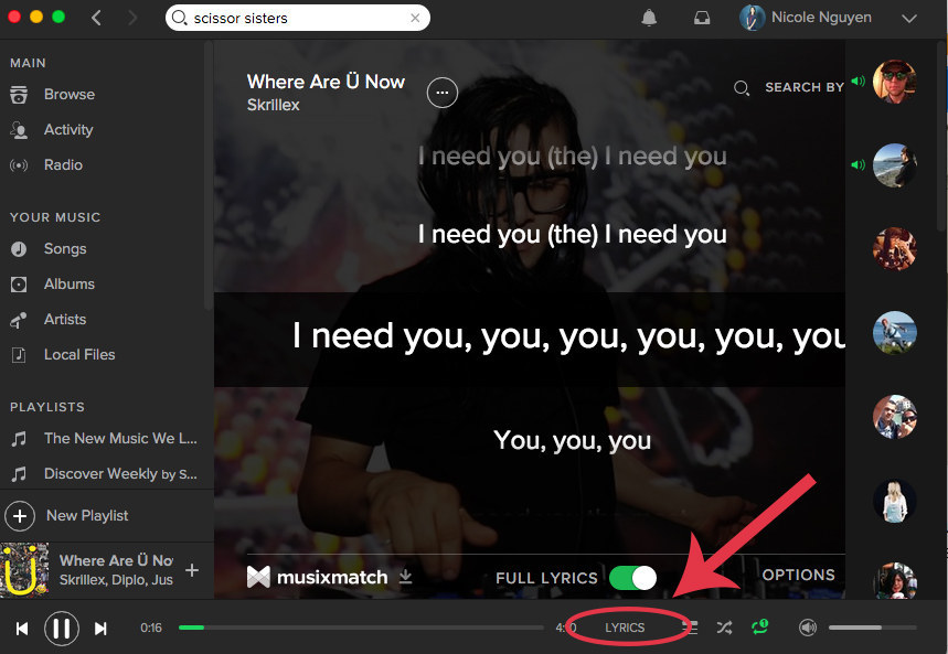 spotify user search