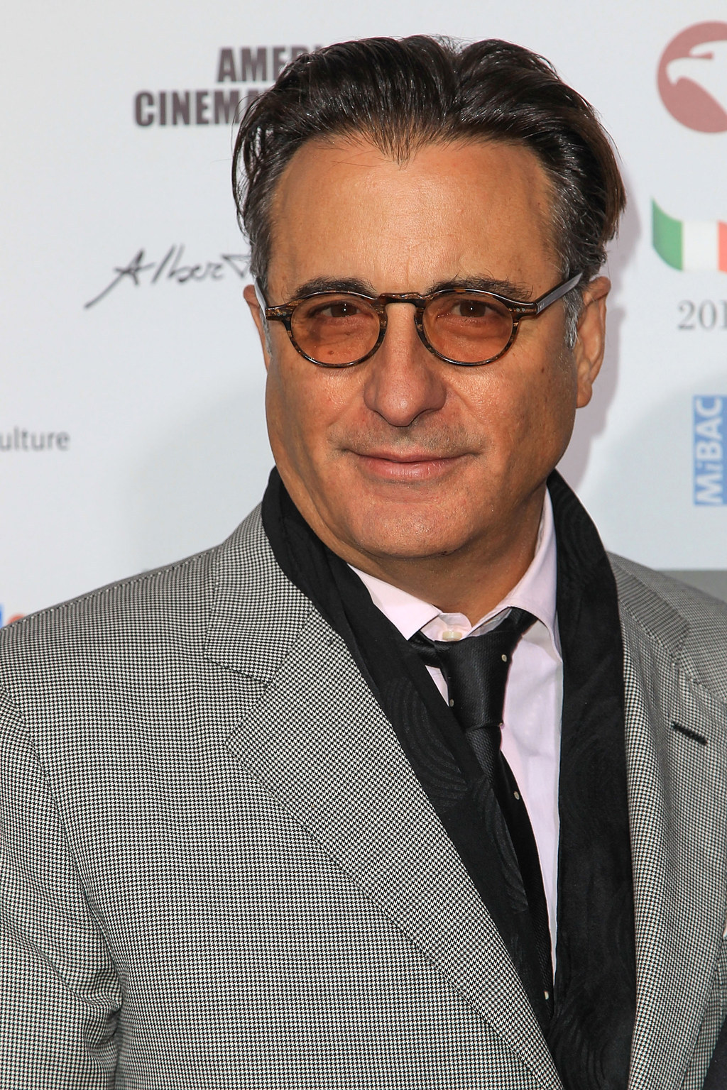 Andy Garcia beard