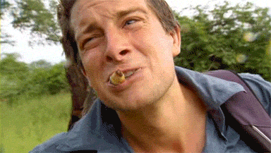 Juicy maggot snack!