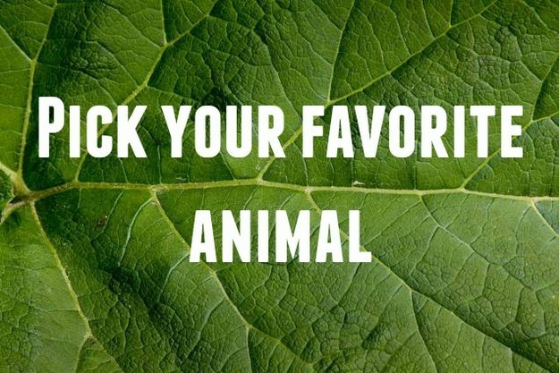 can-we-guess-which-animal-scares-you-the-most