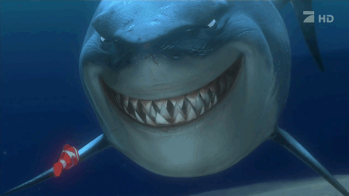 Shark