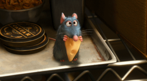 Mouse / Rat
