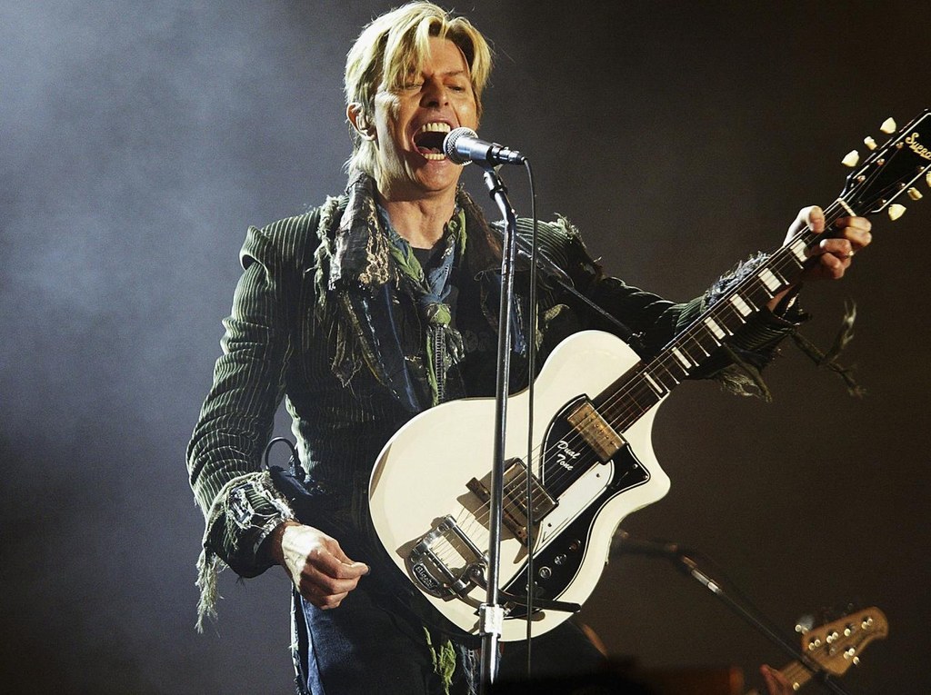 Em 1998 o artista lançou o próprio provedor de internet, chamado de Bowienet. Sempre interessado em ficção científica e tecnologia, ele disse na época que "queria criar um ambiente onde os fãs de música poderiam ser parte de uma comunidade e trocar arquivos e informação".