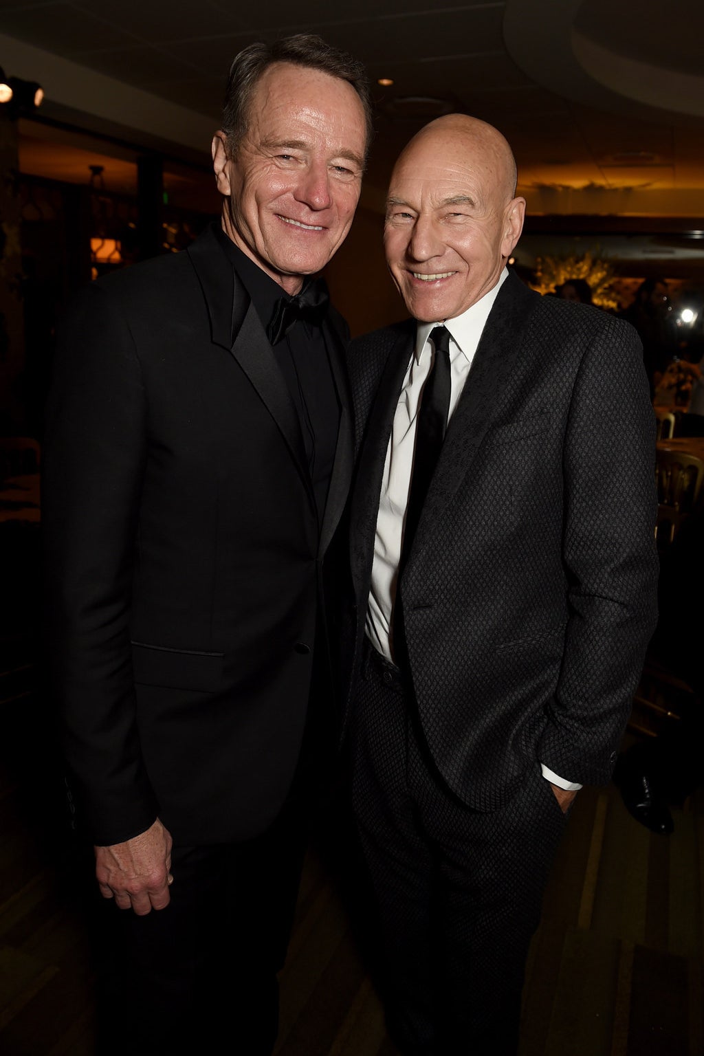 Bryan Cranston and Patrick Stewart.