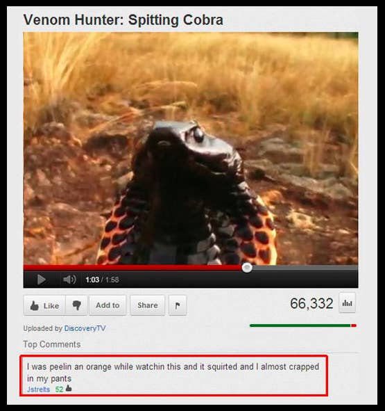 26 YouTube Comments That Will Actually Make You Laugh
