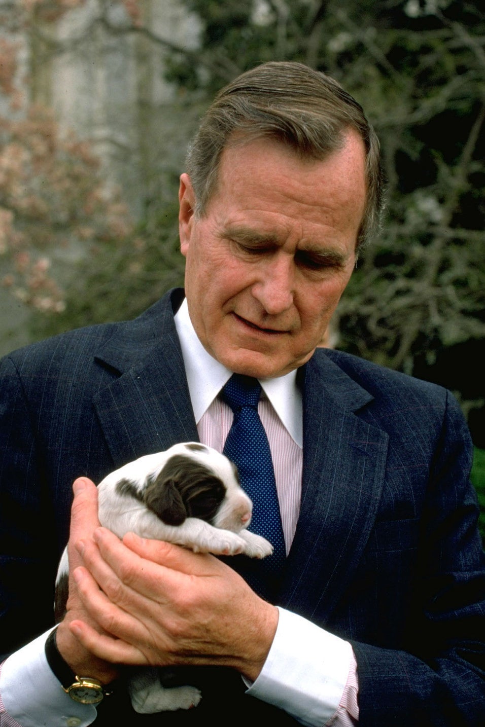 25 Adorable Presidential Pet Photos That Will Melt Your Heart